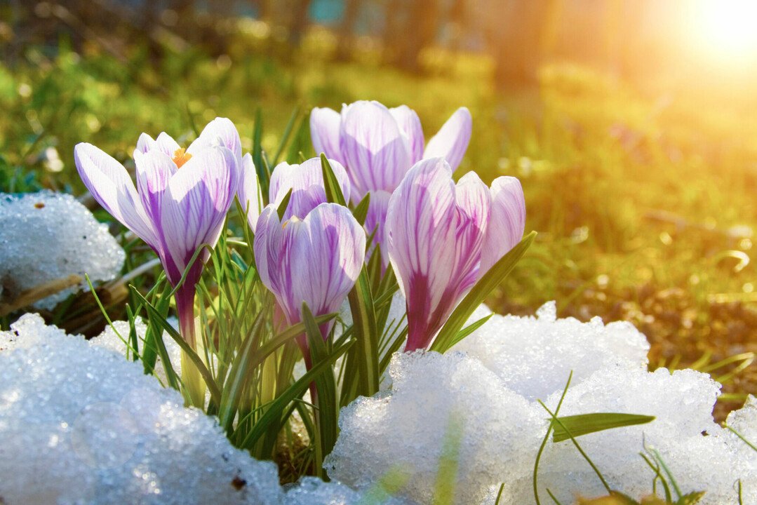How_to_Prevent_Flood_in_Spring