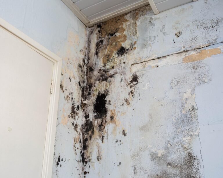 flood-damage-repair