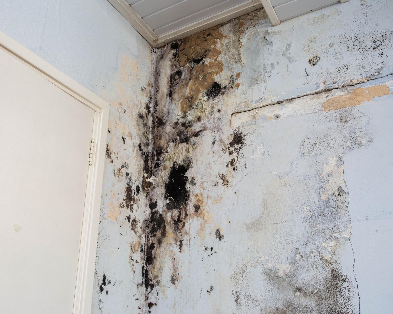 flood-damage-repair